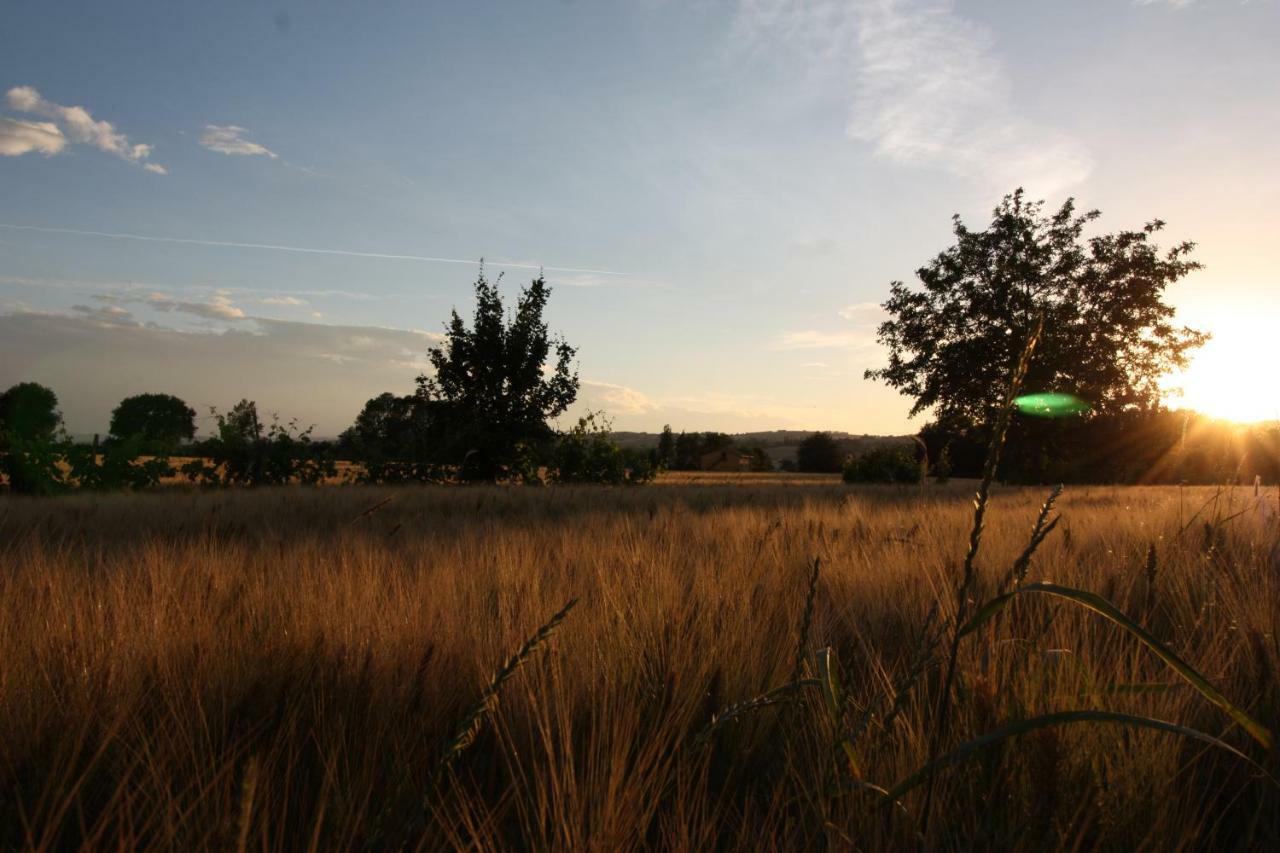 Il Casale Di Nonno Guido Bed & Breakfast Monterado Bagian luar foto