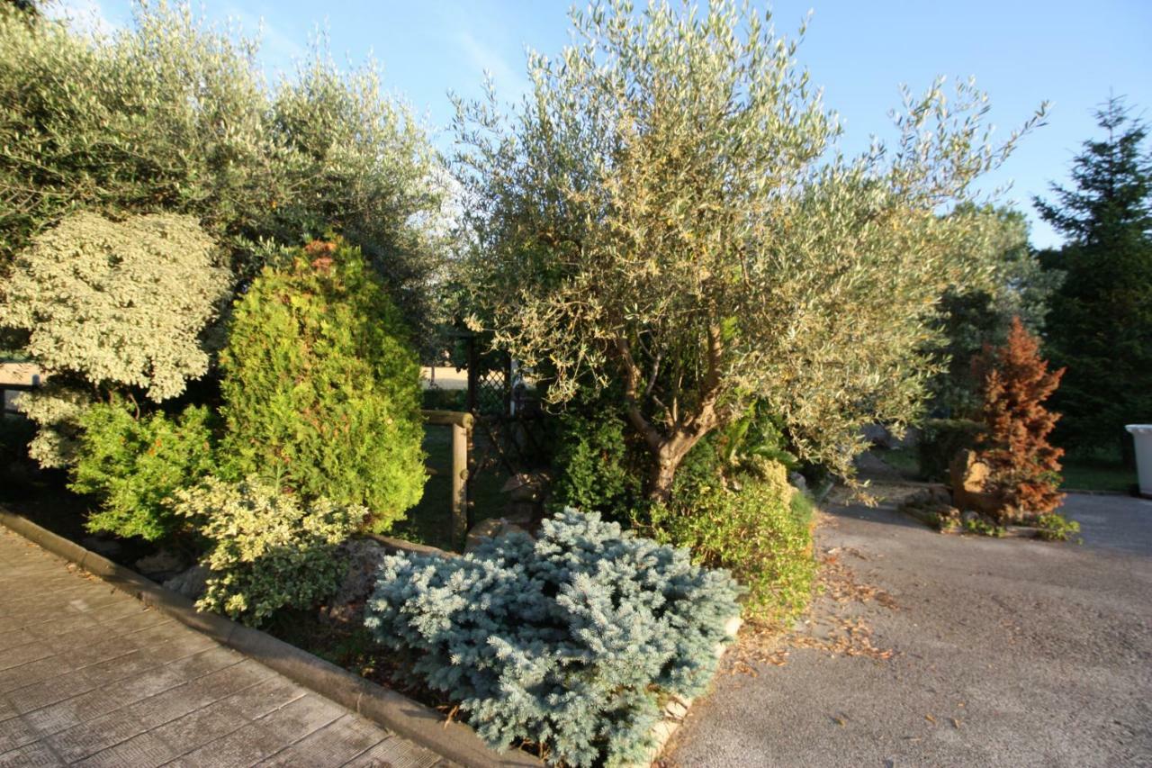 Il Casale Di Nonno Guido Bed & Breakfast Monterado Bagian luar foto