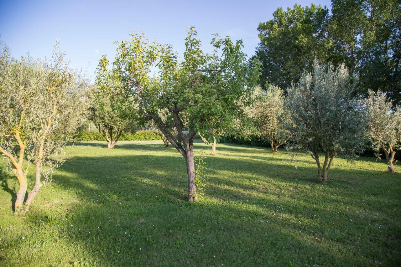 Il Casale Di Nonno Guido Bed & Breakfast Monterado Bagian luar foto