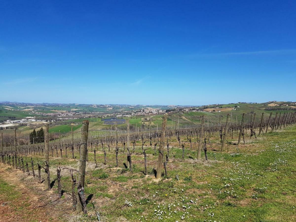 Il Casale Di Nonno Guido Bed & Breakfast Monterado Bagian luar foto