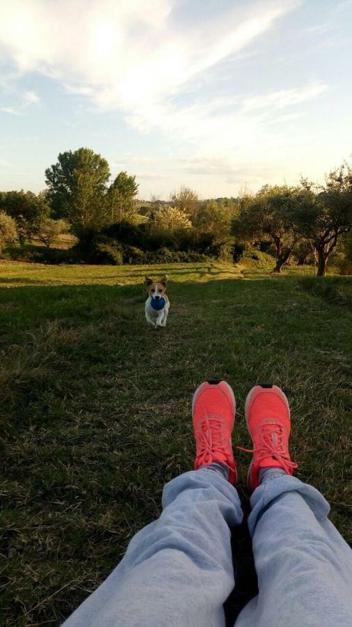 Il Casale Di Nonno Guido Bed & Breakfast Monterado Bagian luar foto