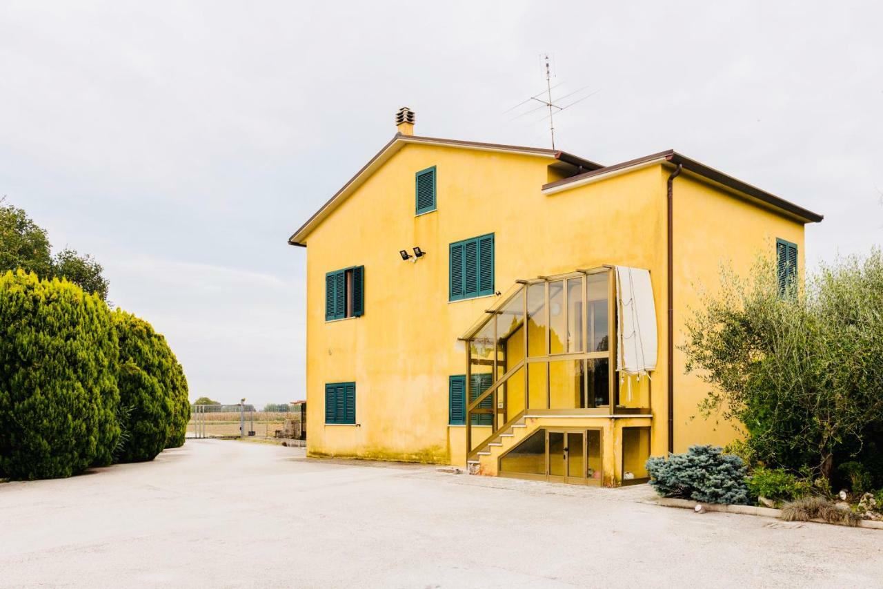 Il Casale Di Nonno Guido Bed & Breakfast Monterado Bagian luar foto