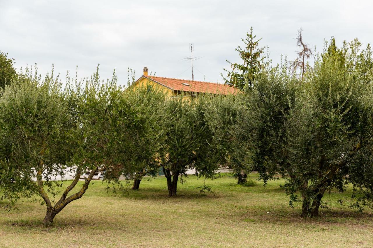 Il Casale Di Nonno Guido Bed & Breakfast Monterado Bagian luar foto