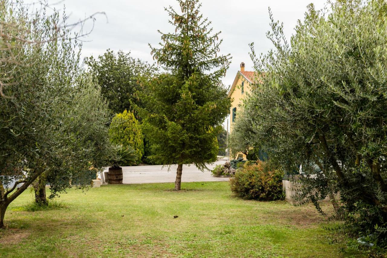 Il Casale Di Nonno Guido Bed & Breakfast Monterado Bagian luar foto