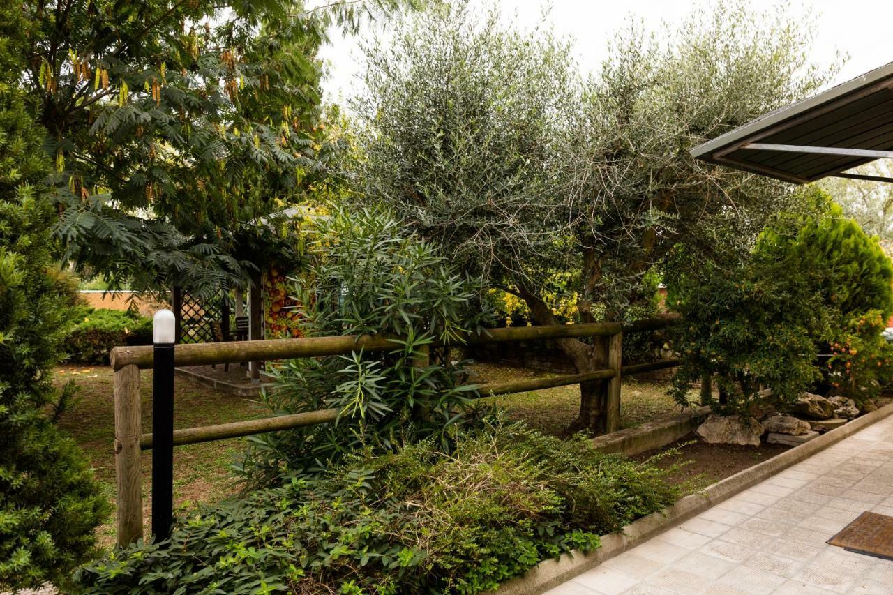 Il Casale Di Nonno Guido Bed & Breakfast Monterado Bagian luar foto