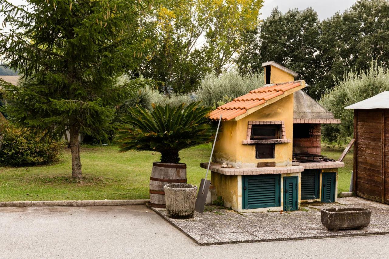 Il Casale Di Nonno Guido Bed & Breakfast Monterado Bagian luar foto
